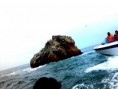 /album/fotogaleria/img-1795-jpg/