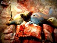 /album/fotogaleria/img-1803-jpg/
